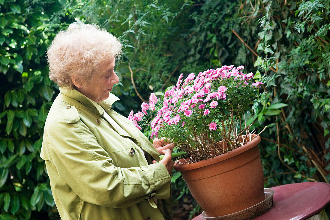 Gardening