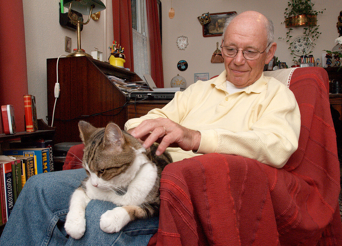 Elderly man stroking cat