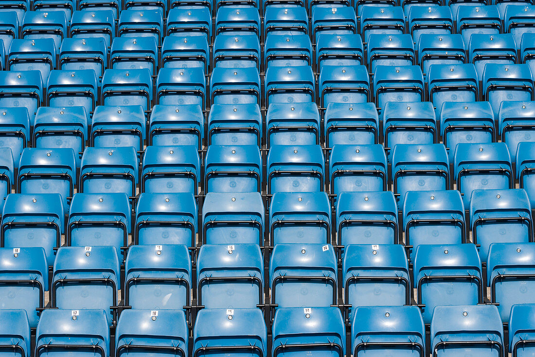 Seats in a sports arena