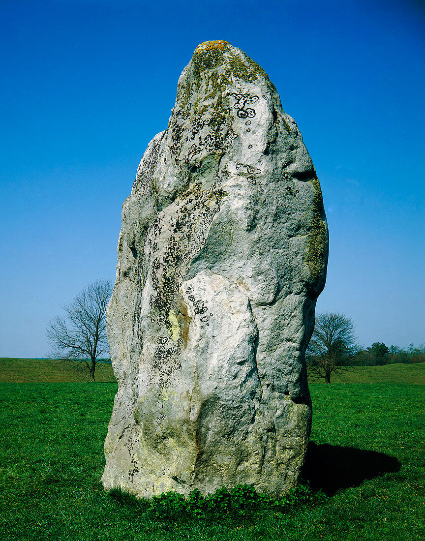 Standing stone,part of circle at Avebury