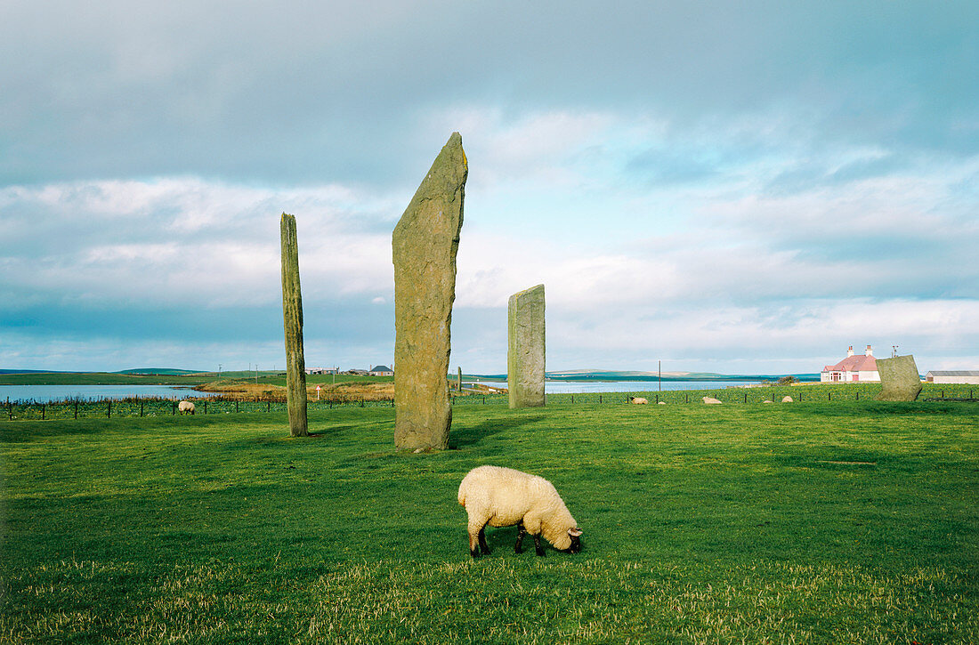 Standing stones Stenness,Orkney Islands