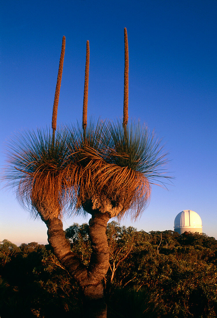 View of the Anglo-Australian Telescope,Australia