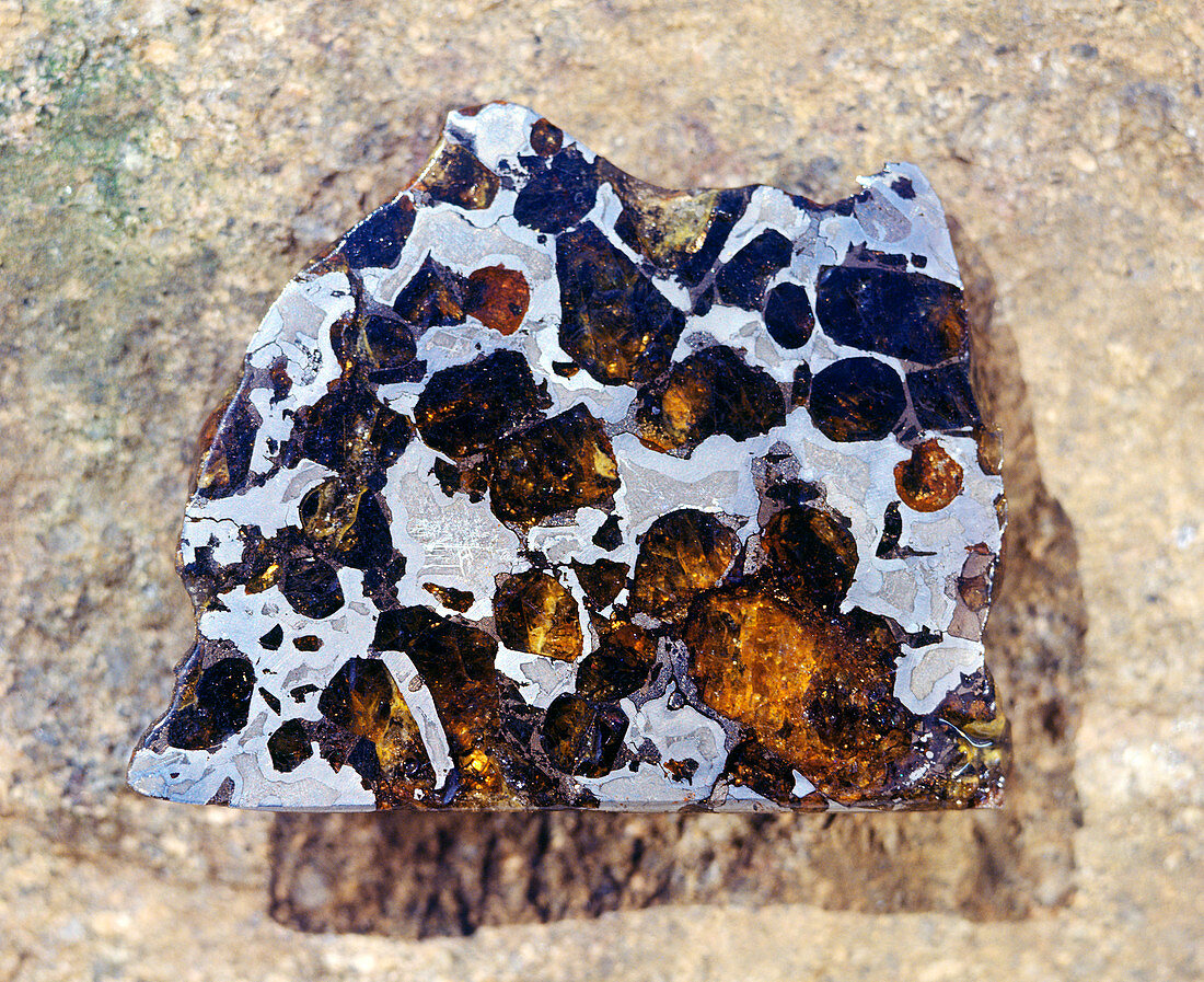 Brahin meteorite,1810