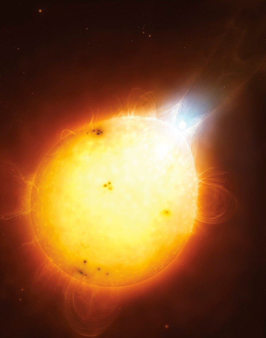 White dwarf colliding with the Sun