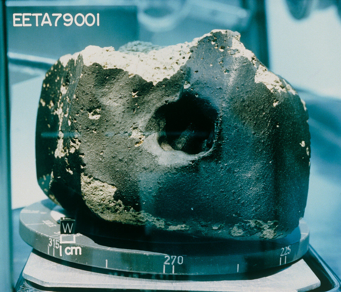 Meteorite collected in Antarctica in 1979