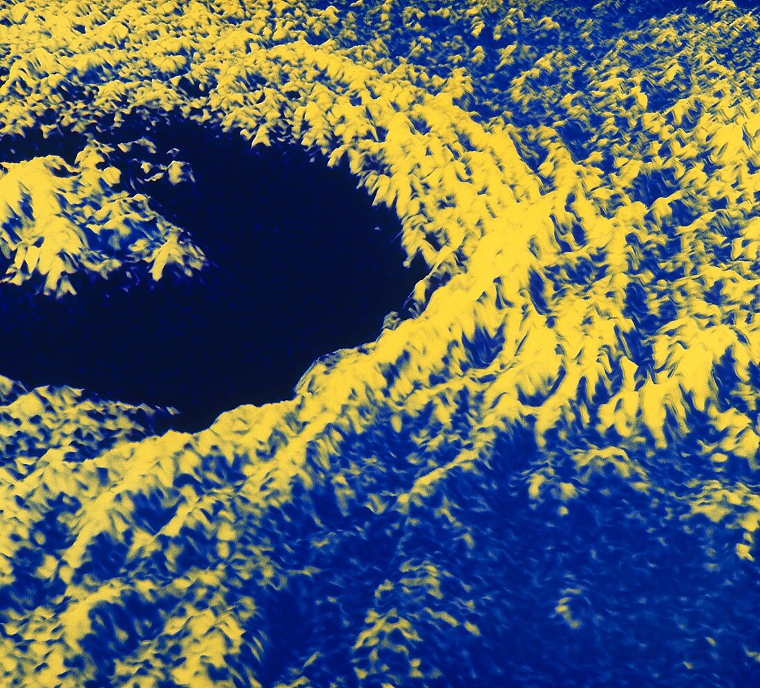 Magellan radar image of Golubkina crater,Venus