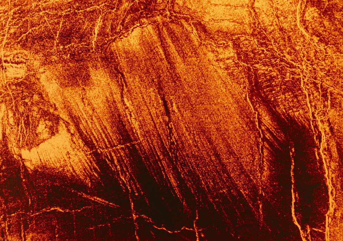 Wind-streaked debris on surface of Venus