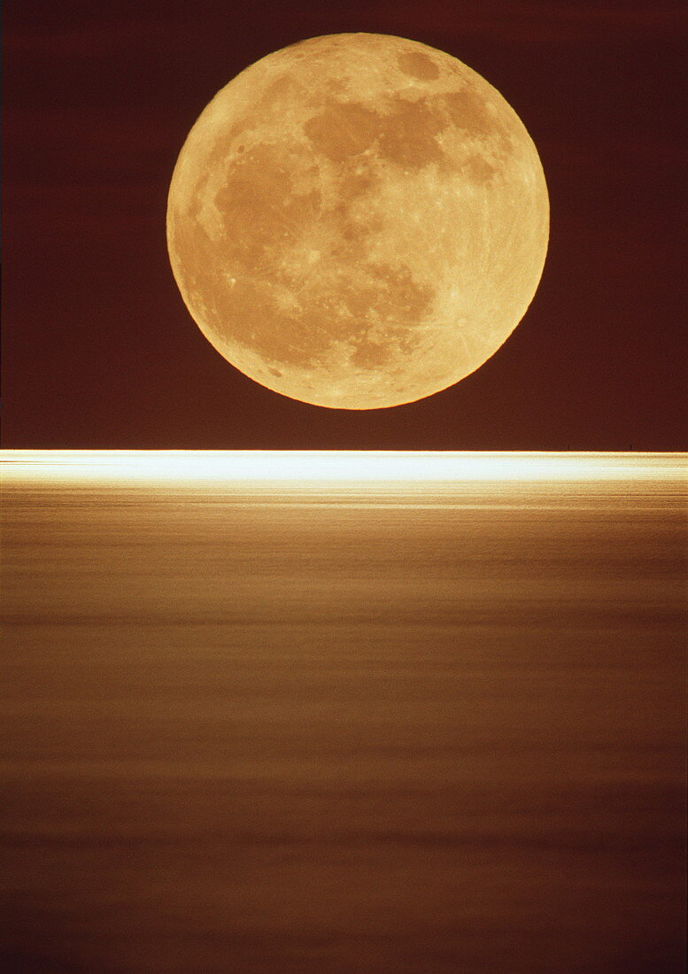 Moonrise over ocean