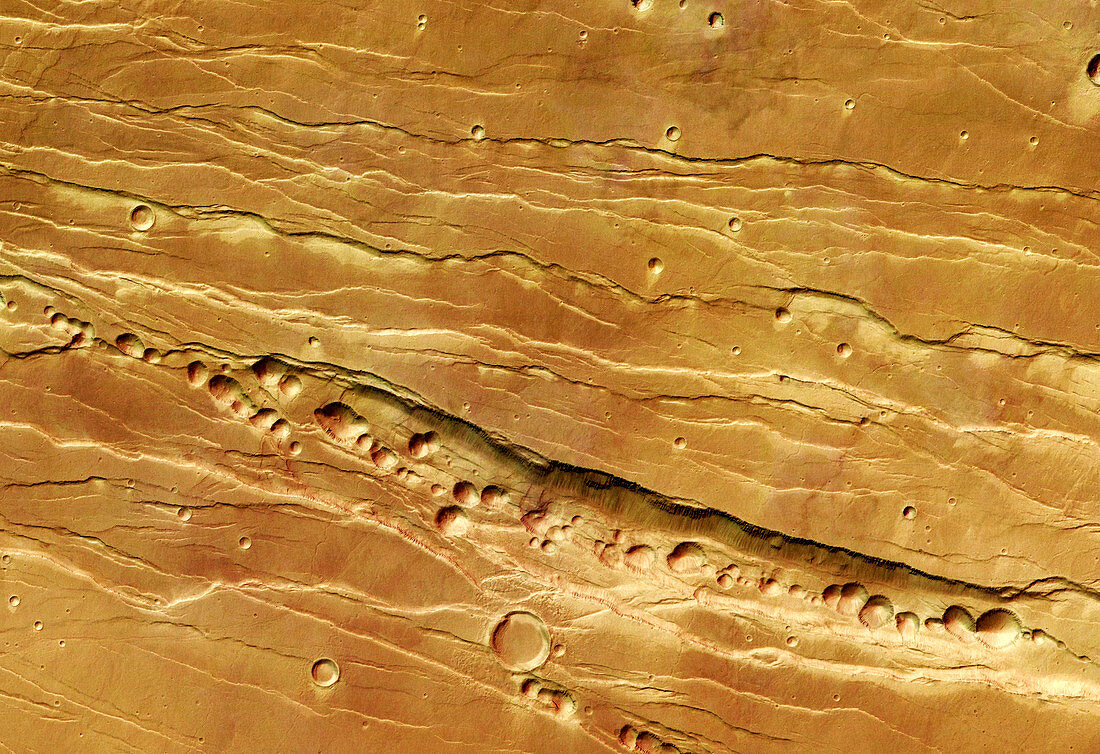 Martian surface
