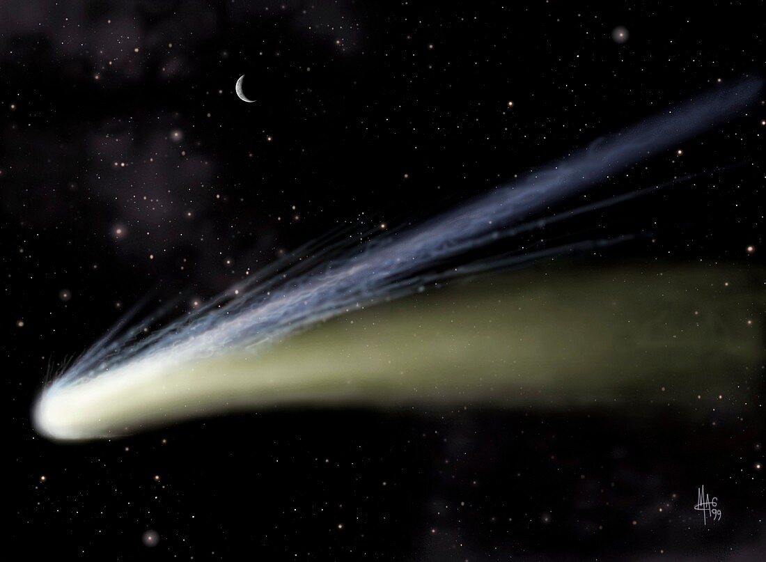 Artwork of a comet showing its dust and ion tails