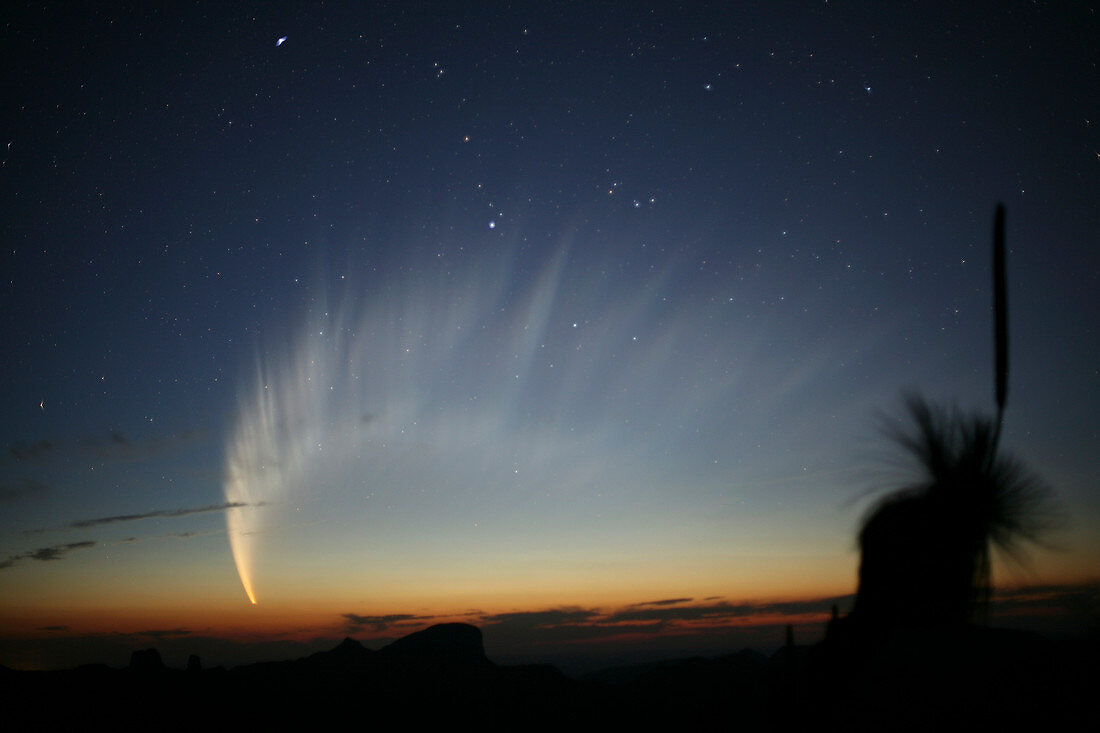 Comet McNaught,19th January 2007