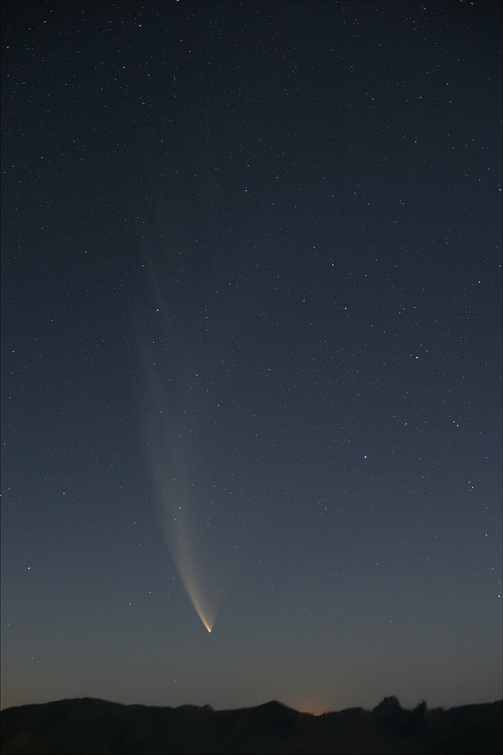 Comet McNaught,26th January 2007