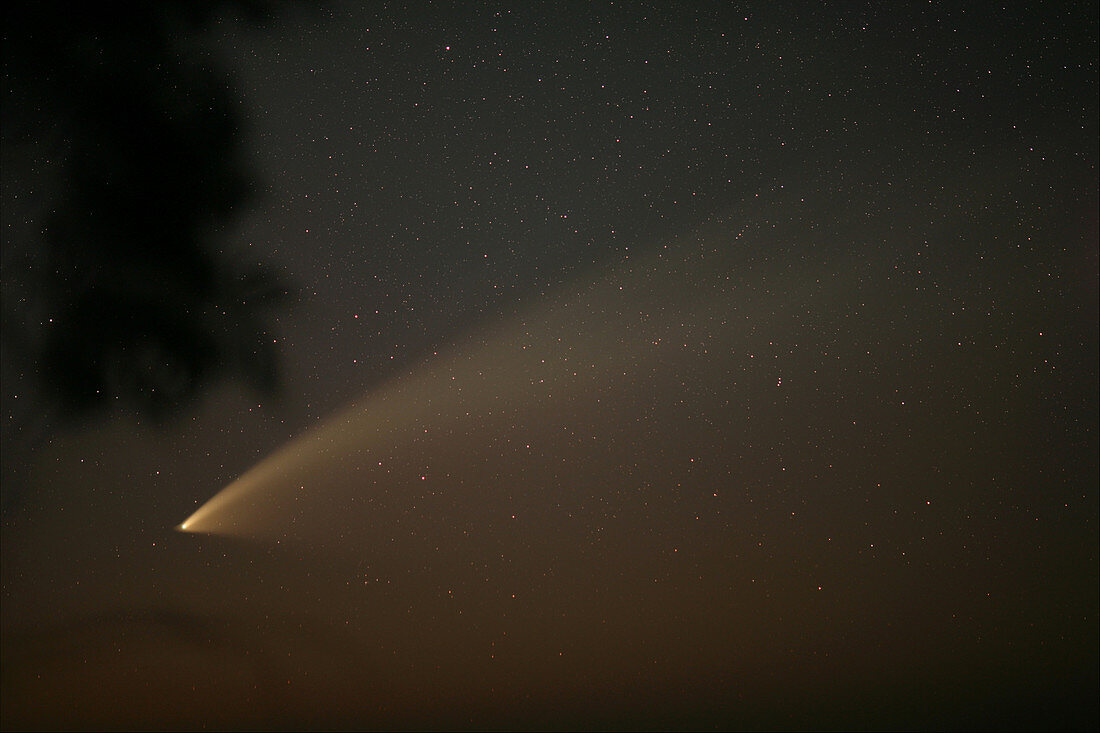 Comet McNaught,29th January 2007