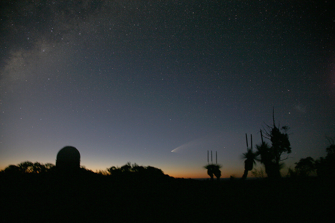 Comet McNaught,30th January 2007