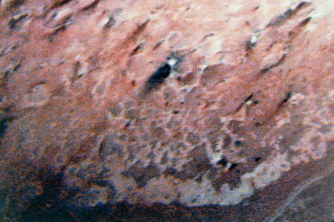 False-col Voyager 2 image of Triton