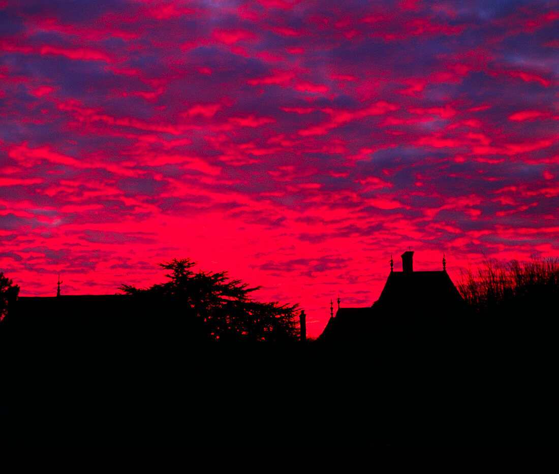 Bright red clouds over houses at sunset