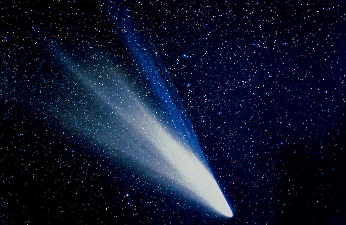 Comet West