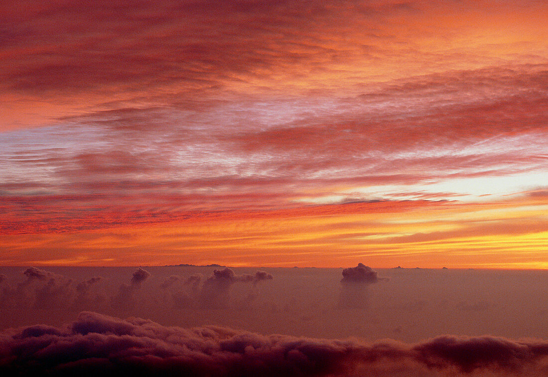 High-altitude stratus clouds at sunset