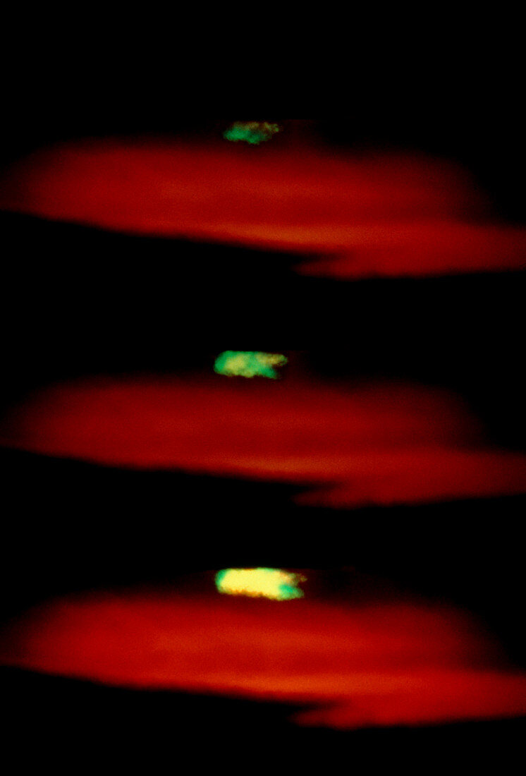 Image of the green flash effect