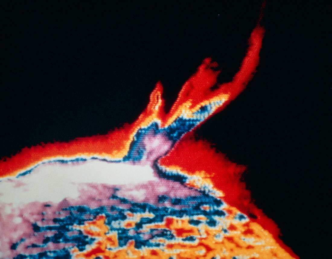 False-colour Skylab image of a solar prominence