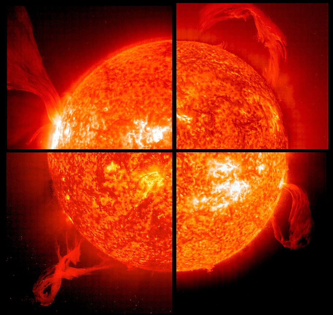 Four solar prominences