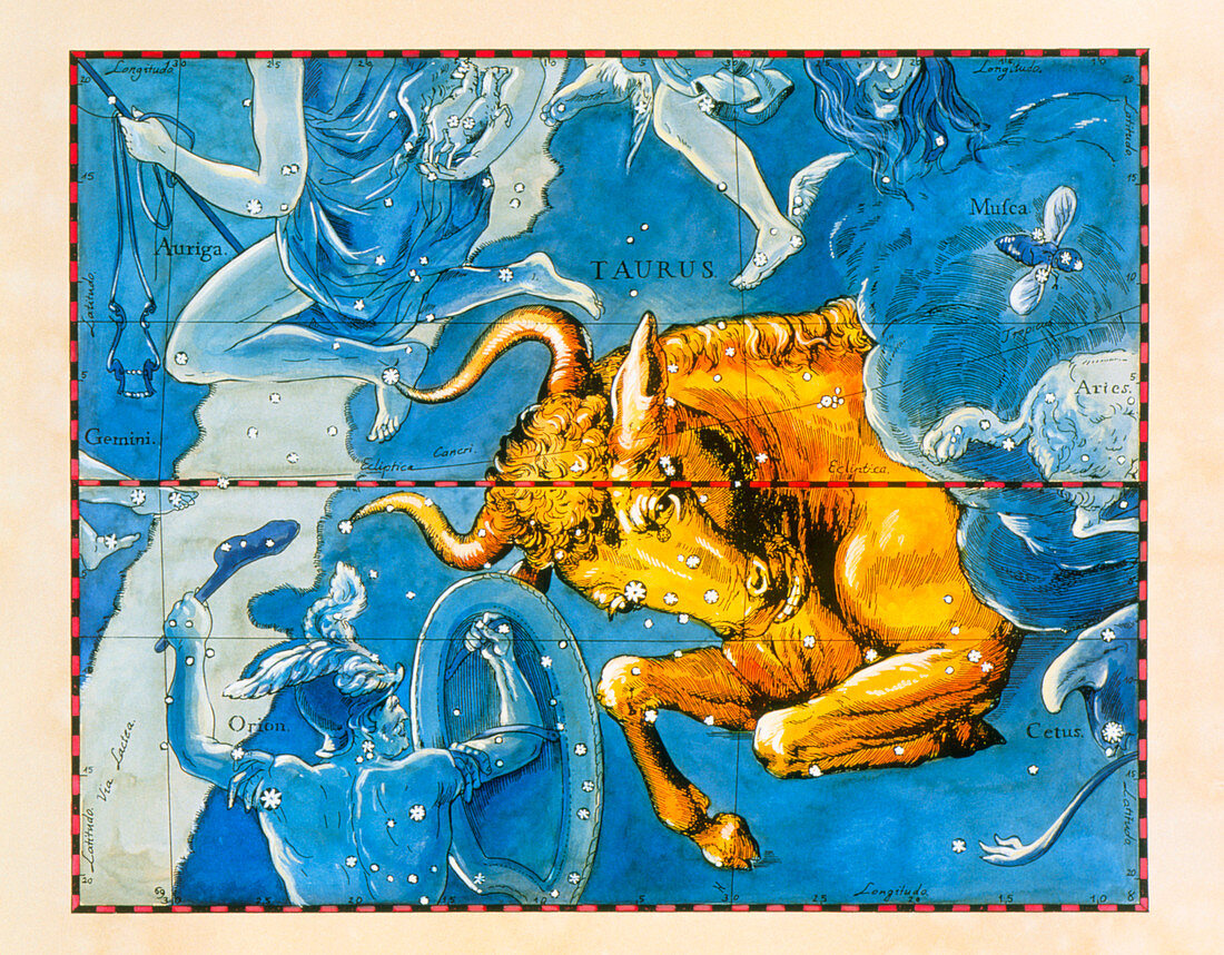 Historical artwork of the constellation of Taurus