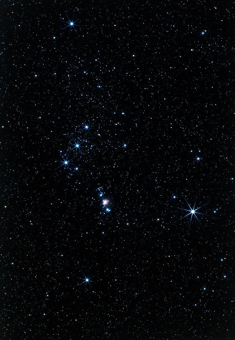 Lower part of the constellation Orion,the Hunter