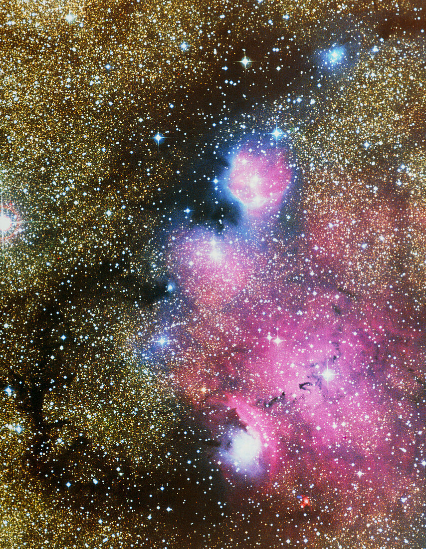 Nebulae in Sagittarius