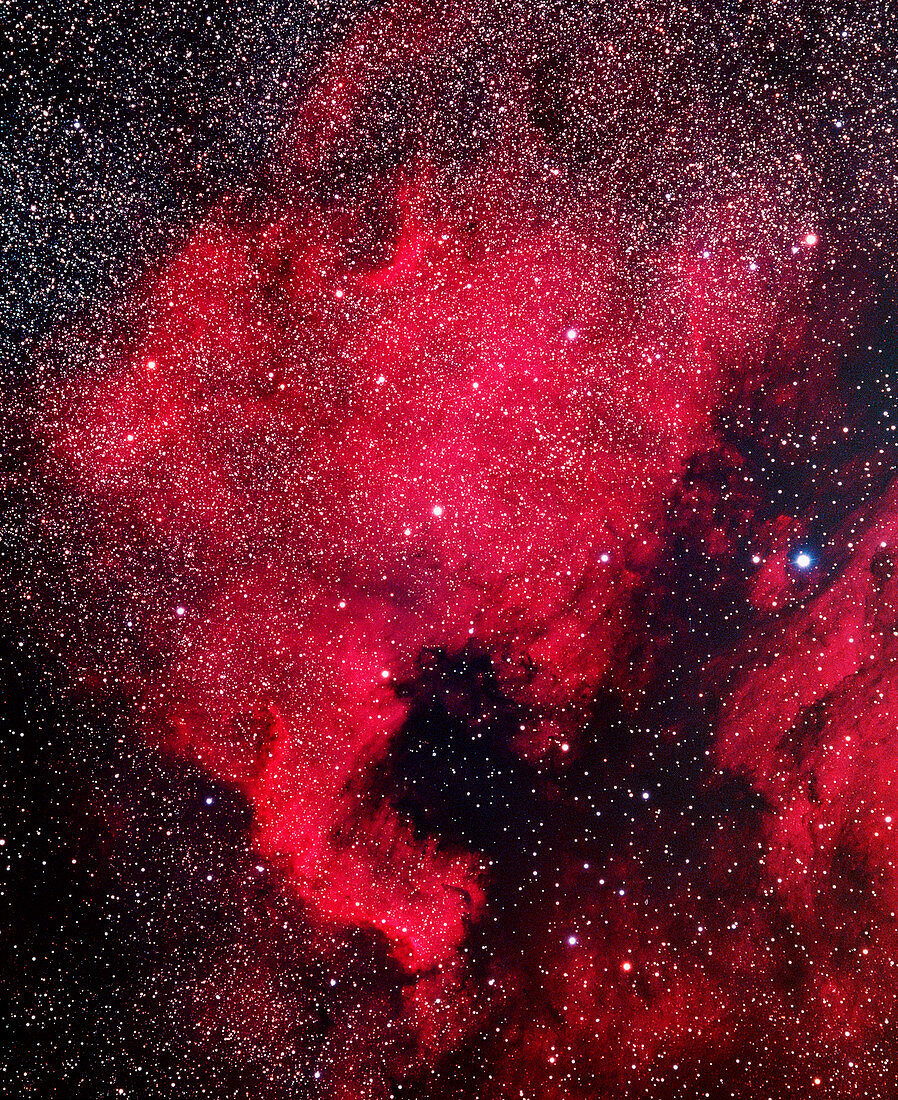 North America nebula