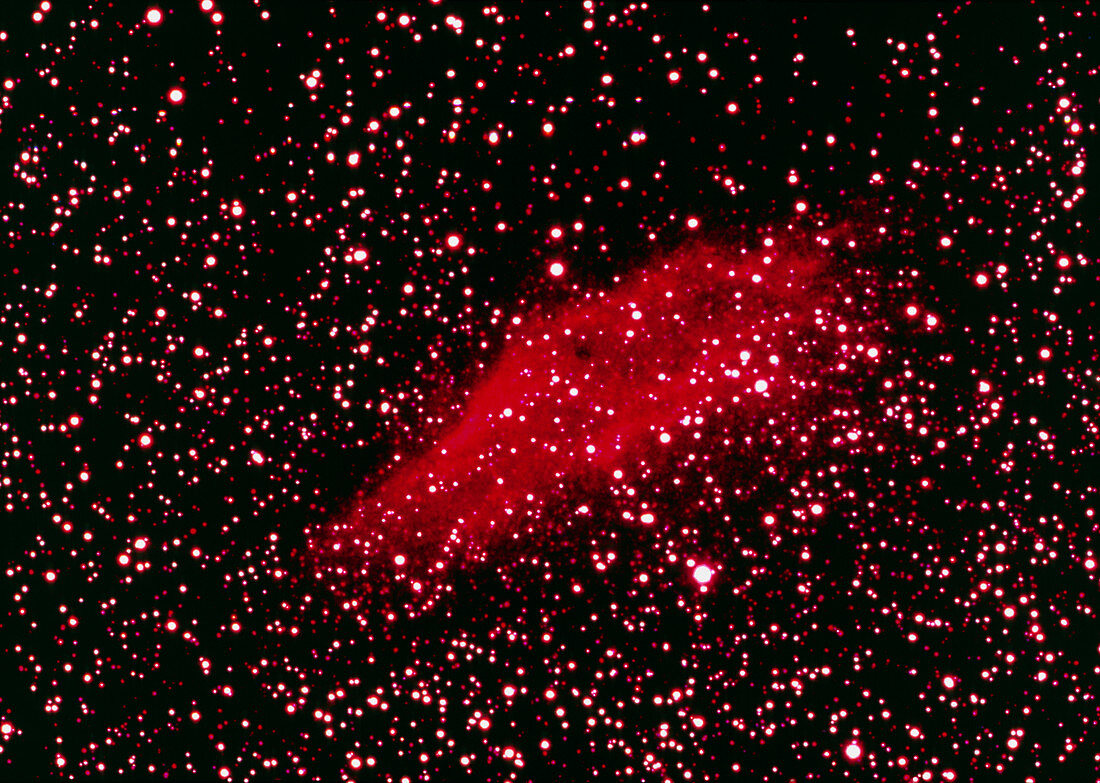 The California nebula in Perseus