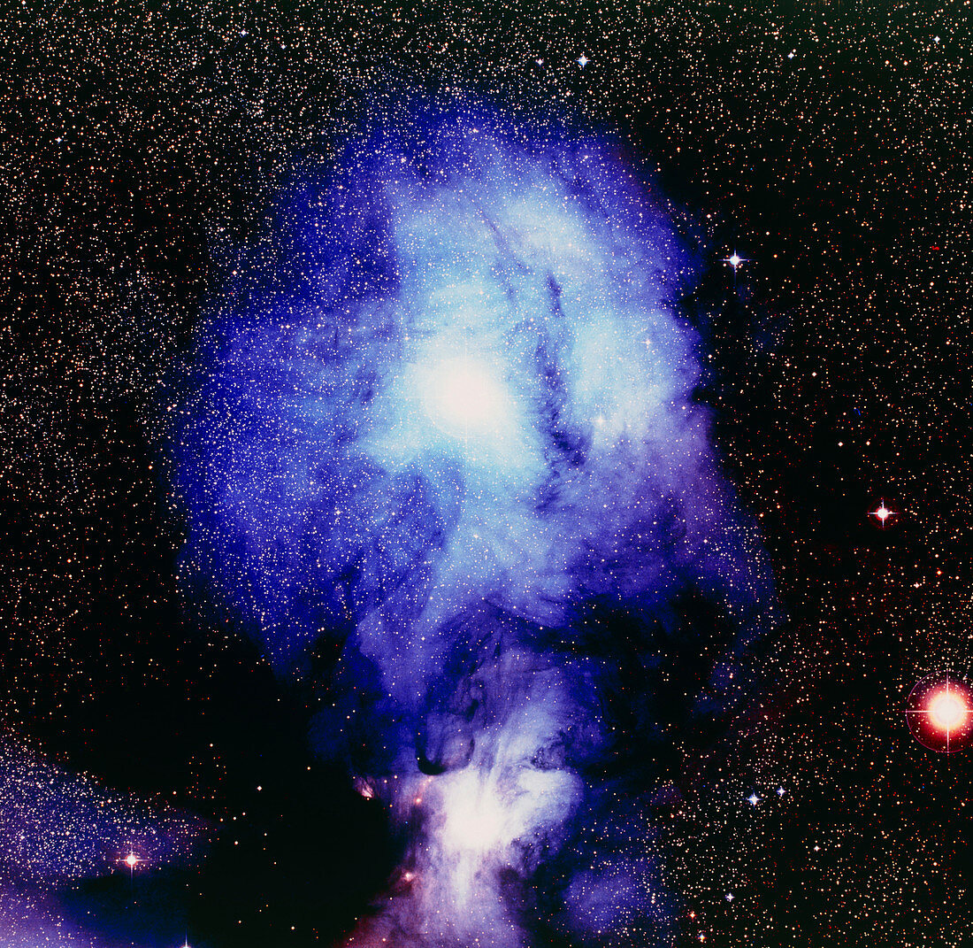Optical image of Rho Ophiuchi reflection nebula