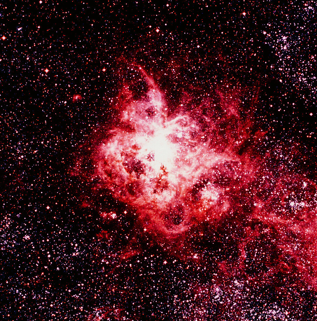 Optical image of the Tarantula nebula in Dorado