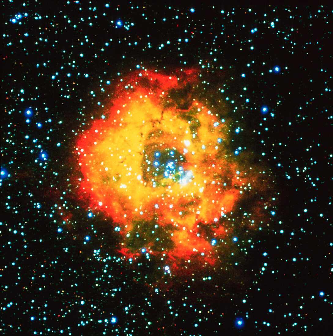 The Rosette nebula