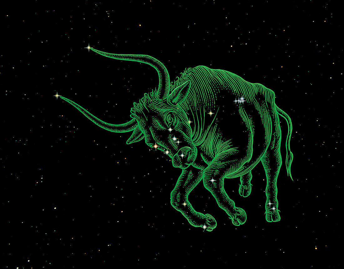 Taurus the bull,composite artwork & photo