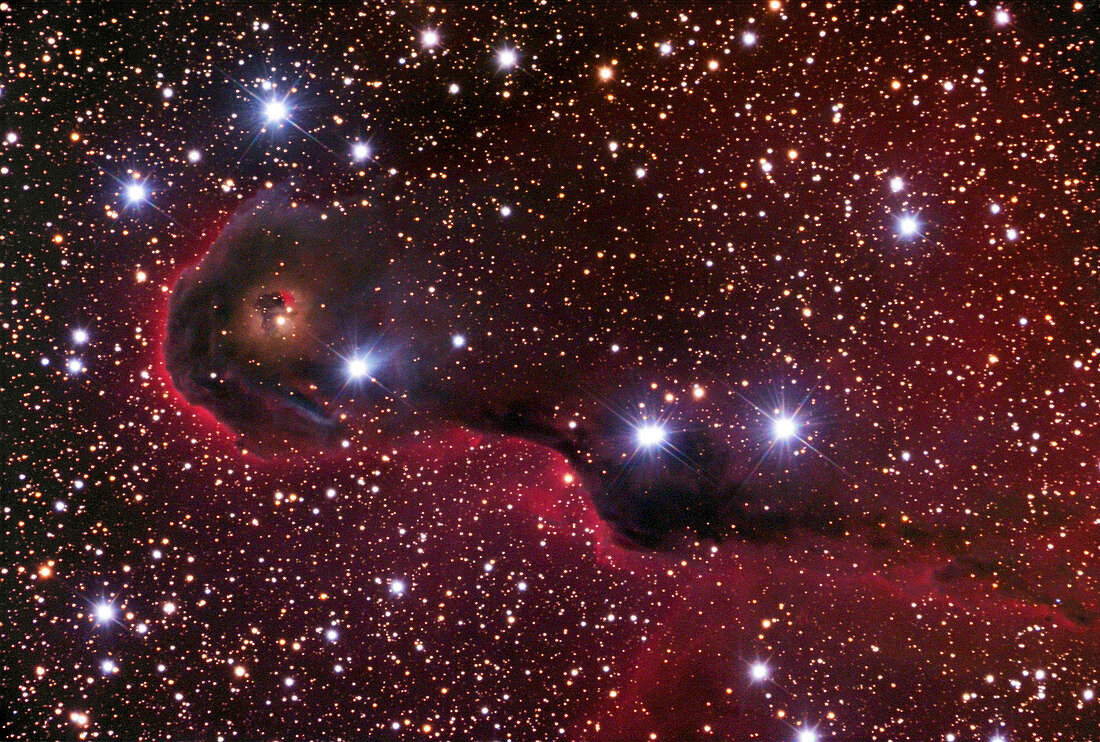 Elephant Trunk nebula (IC 1396A)