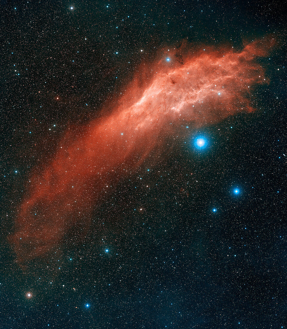 California nebula (NGC 1499)