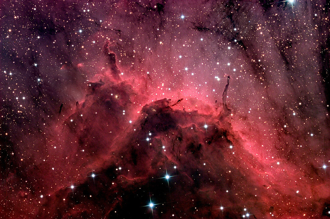 Pelican nebula (IC 5067)
