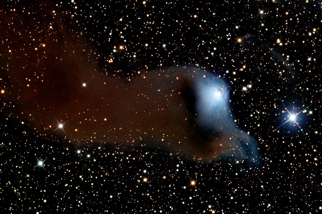 Reflection/dark nebula Ced 201/vdB 152