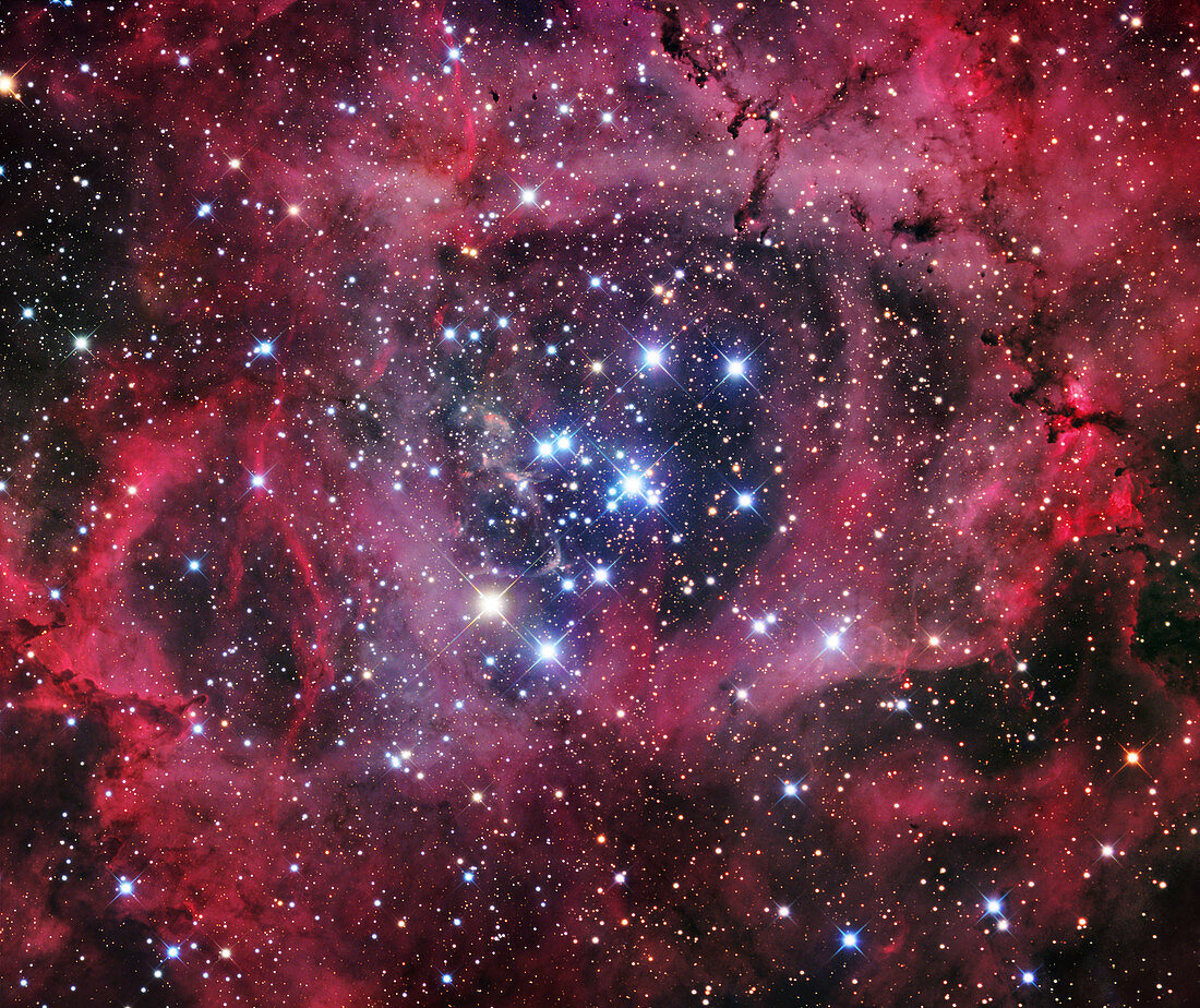 Rosette nebula (NGC 2244)
