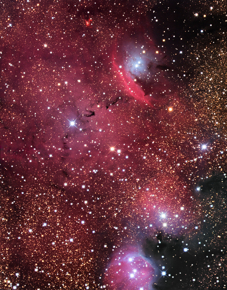 Emission nebula (NGC 6559)