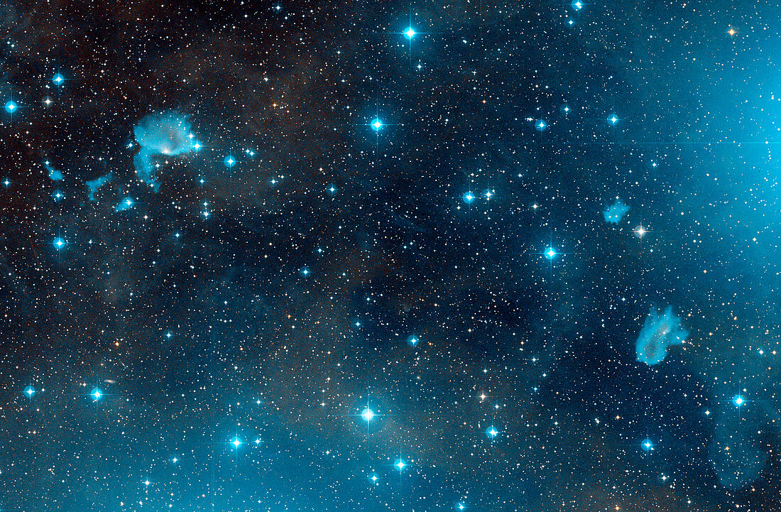 IC 423 and IC 426 reflection nebulae