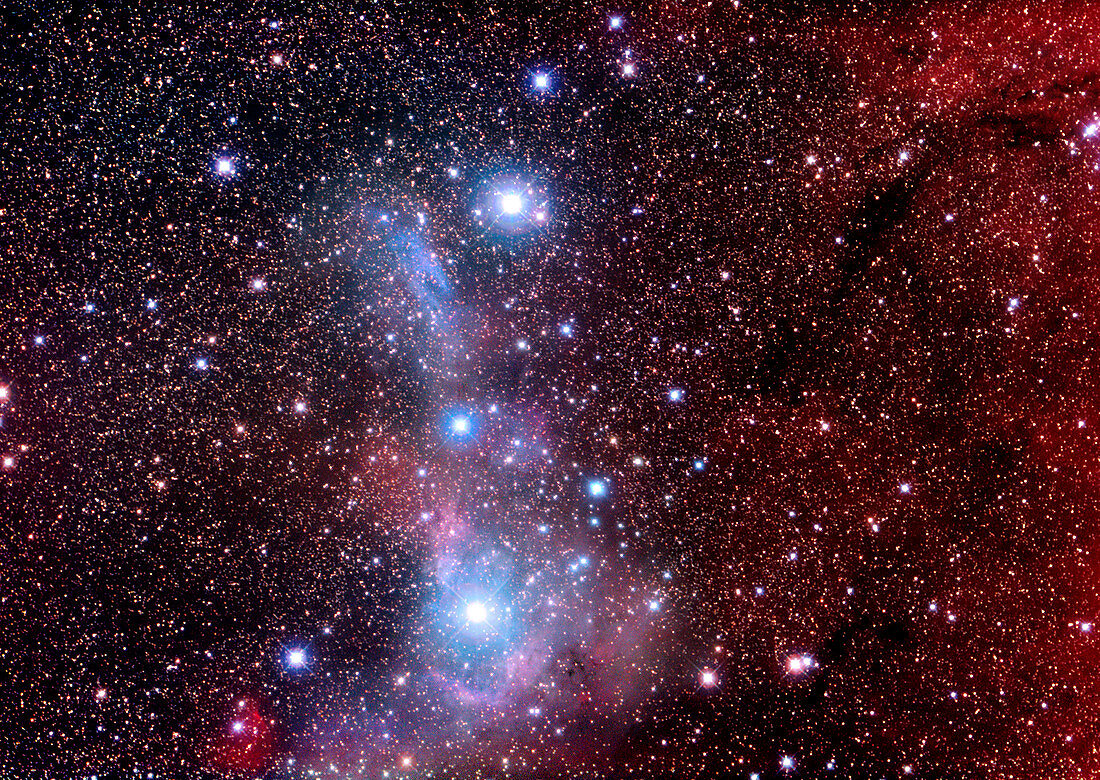 Reflection nebulae VdB 14 & 15