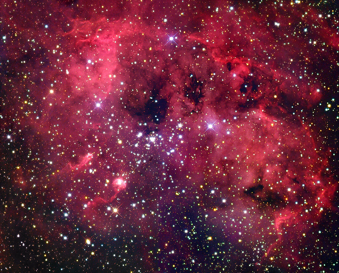 Tadpole nebula (IC 410),optical image