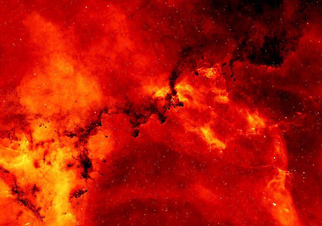 Rosette nebula,infrared image