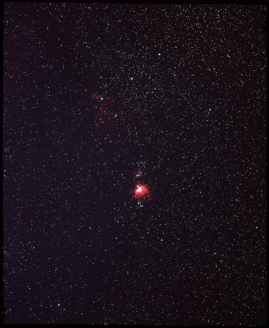 The Orion nebula