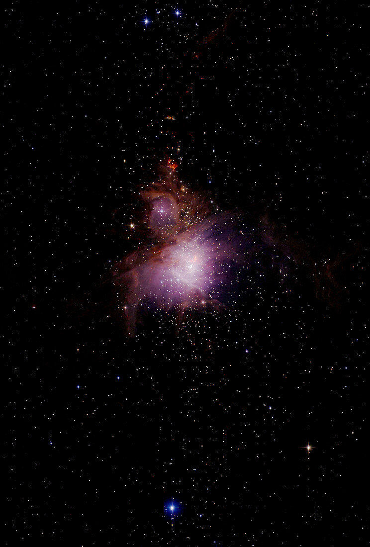 Orion nebula