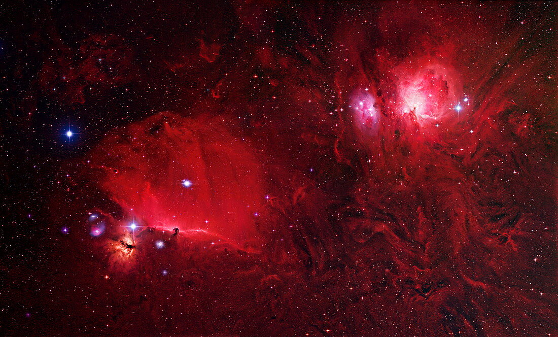 Nebulae in Orion