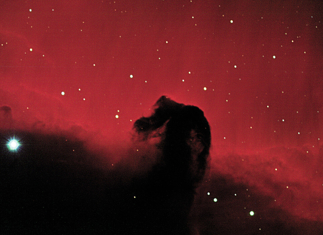 CCD optical image of the Horsehead nebula in Orion