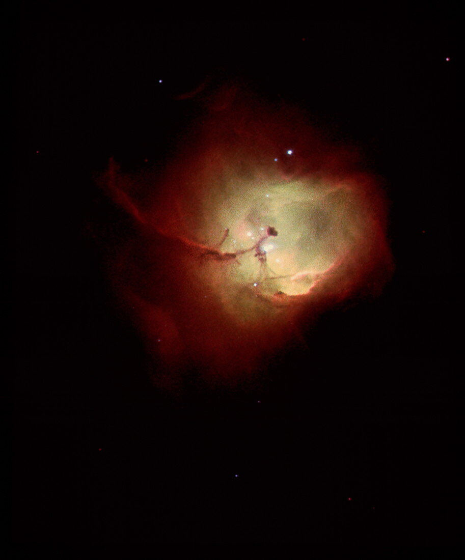 Starbirth nebula N81