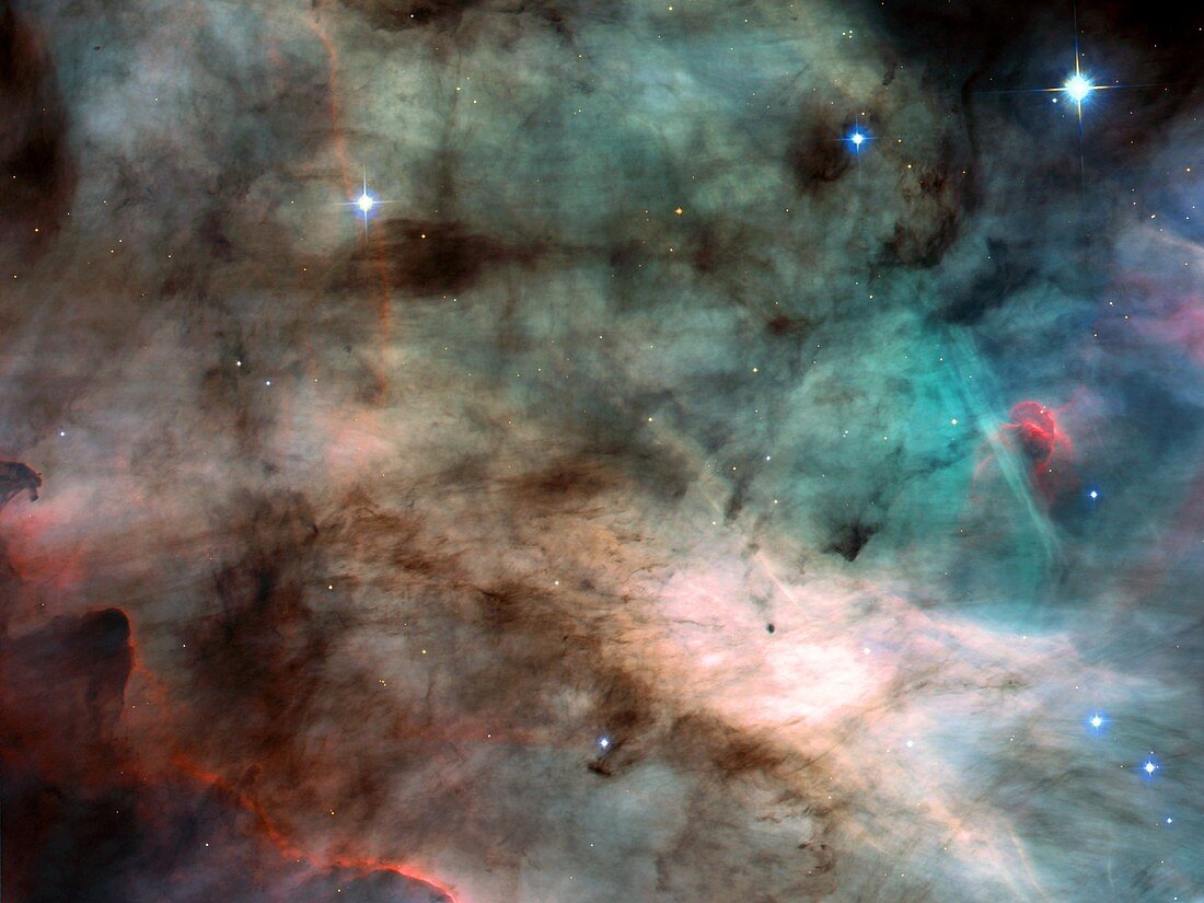 Swan nebula NGC 2264